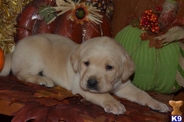 cnckinder Picture 3